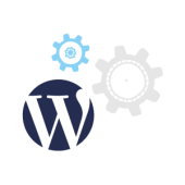 sweetmag-wordpress-service-icon-support