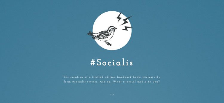 Socialis modern minimal design web site inspiration example